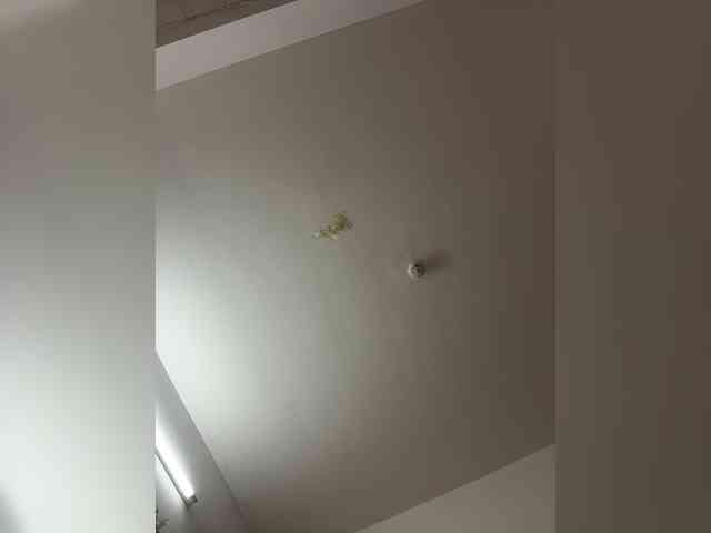 DilaraSecret webcam