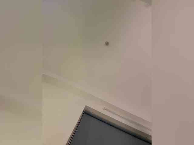 LittleDilara webcam