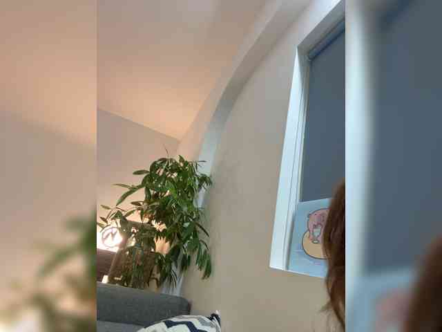 LittleDilara webcam