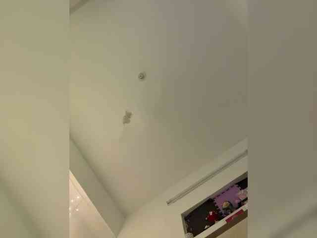 LittleDilara webcam