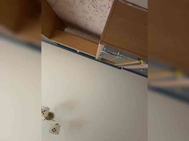 Модель: LittleDelora