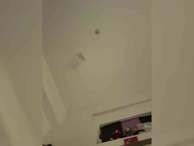 LittleDilara webcam