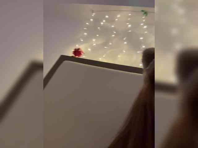Модель: LittleDilara