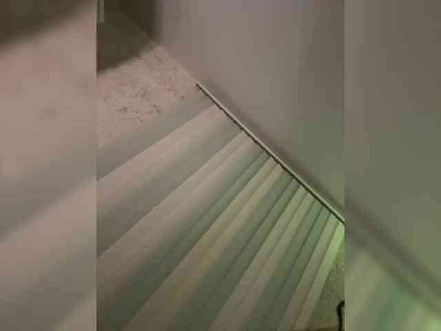 LittleDelora Live Webcam on BongaCams