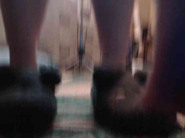 Light_Breeze webcam