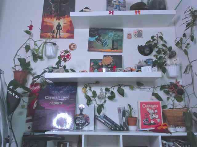Ponchik_ponponchik webcam