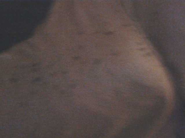 Harleyslut's BongaCams show and profile