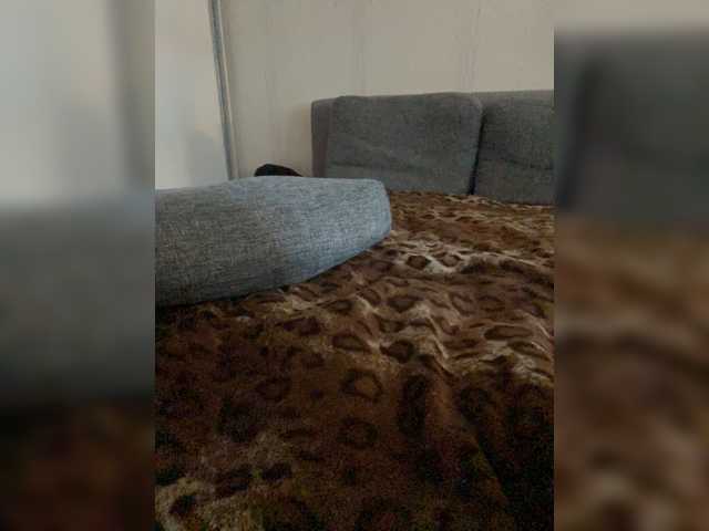 Alisia_Purr live cam preview