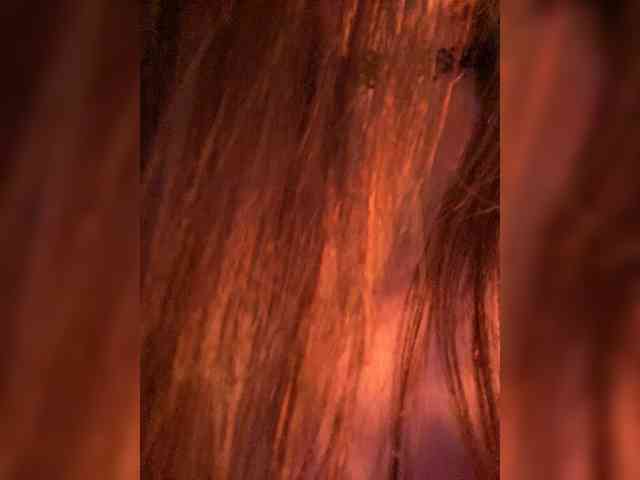 Alisia_Purr