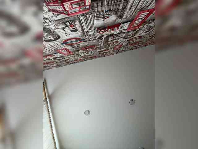 _Daen_ webcam