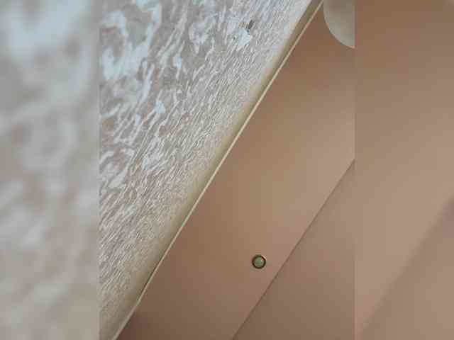 _Daen_ webcam
