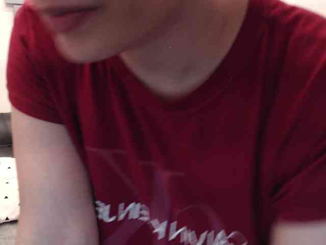 evatwiss webcam