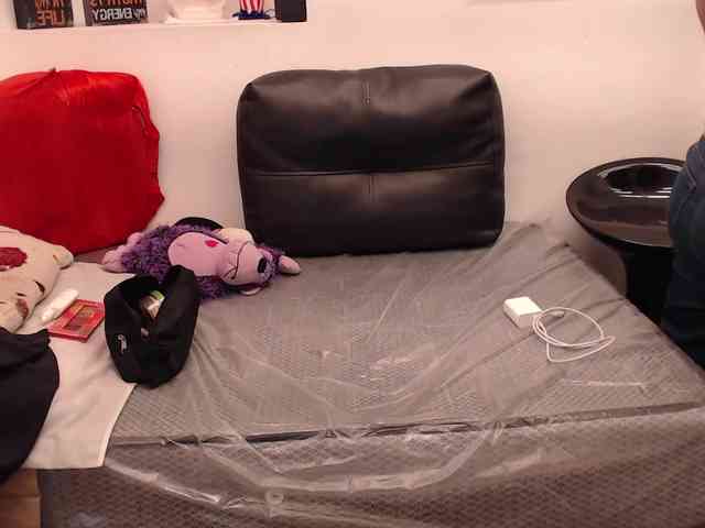 evatwiss webcam
