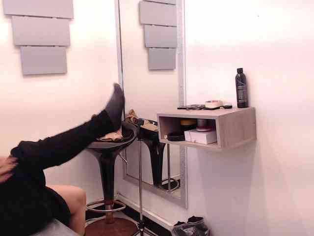 evatwiss webcam