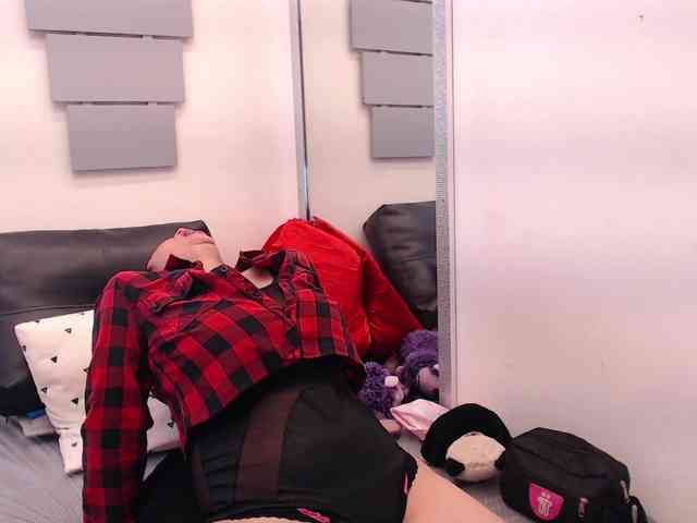 evatwiss webcam