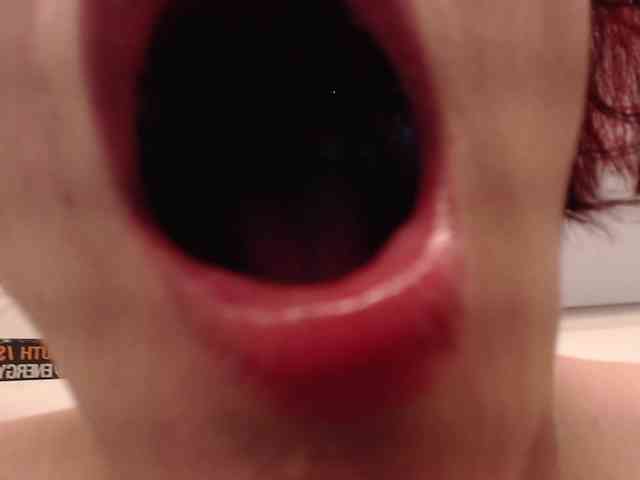 evatwiss webcam