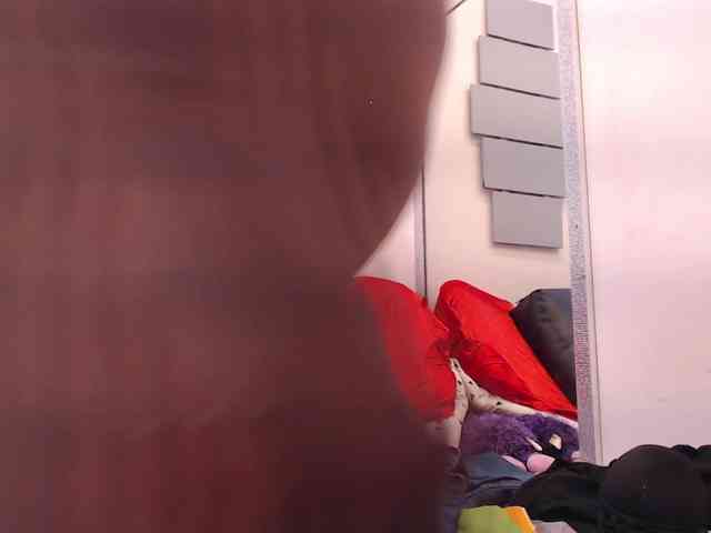 evatwiss webcam
