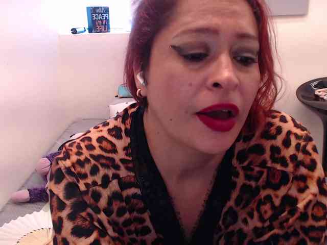 evatwiss webcam