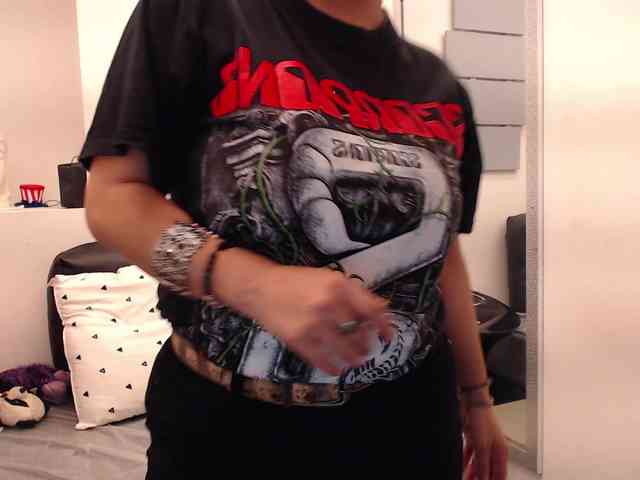 evatwiss webcam