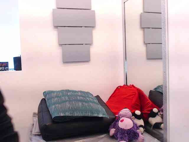 evatwiss webcam
