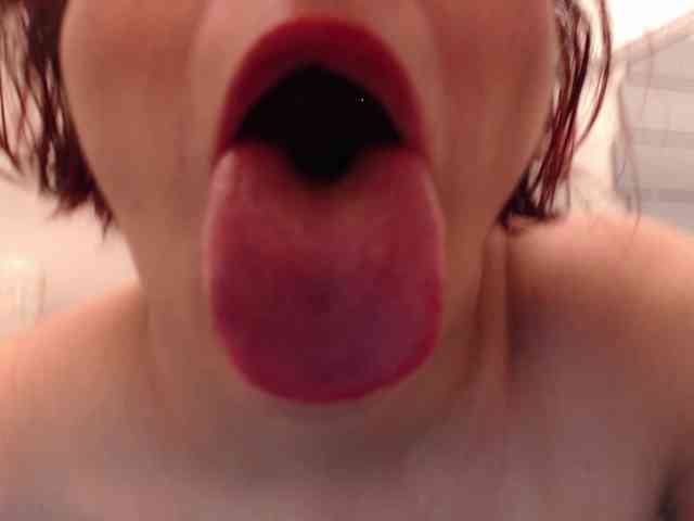 evatwiss webcam