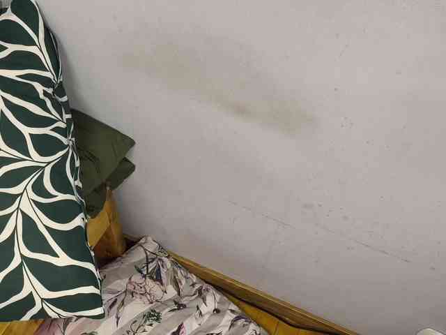 AllHolesLoveGirl webcam