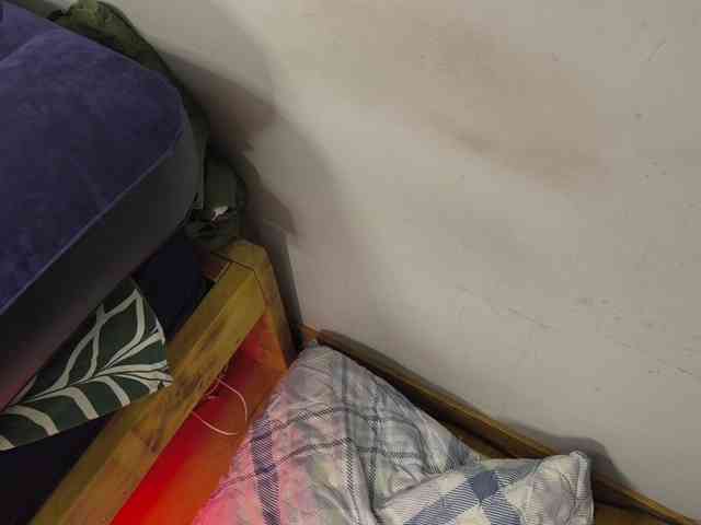 AllHolesLoveGirl webcam
