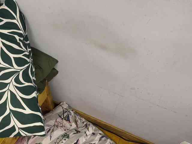 AllHolesLoveGirl webcam