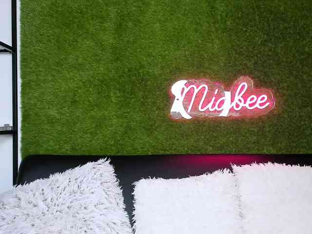 MiaBeeX webcam