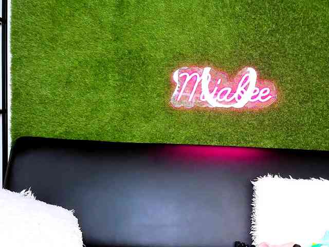 MiaBeeX webcam
