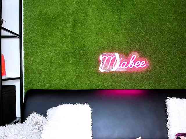 MiaBeeX webcam