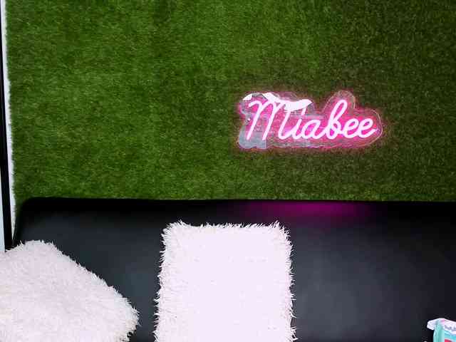 MiaBeeX webcam