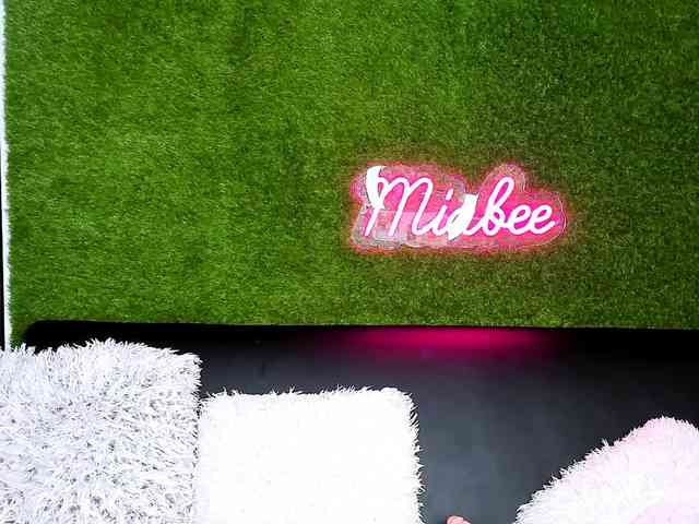 MiaBeeX webcam