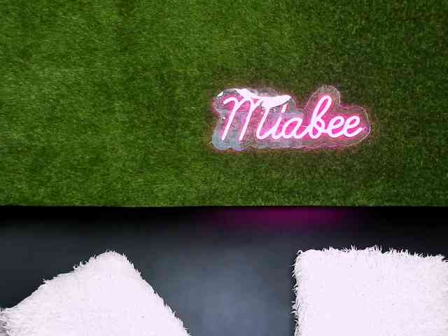 MiaBeeX webcam