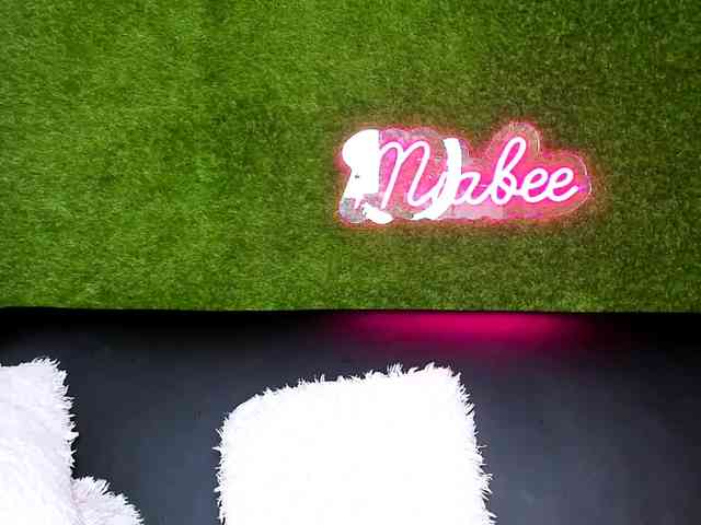 MiaBeeX webcam
