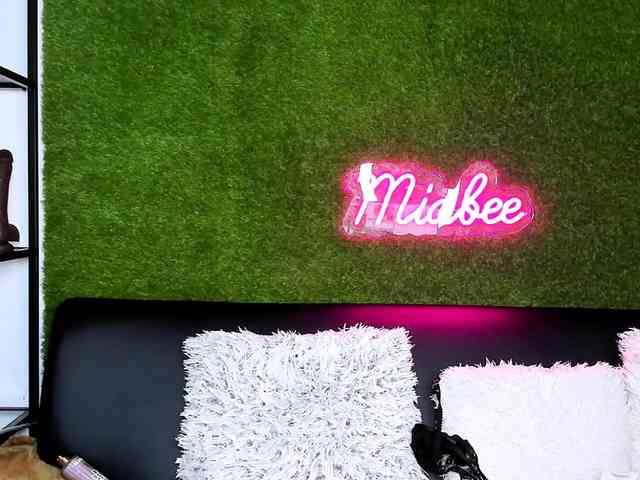 MiaBeeX webcam