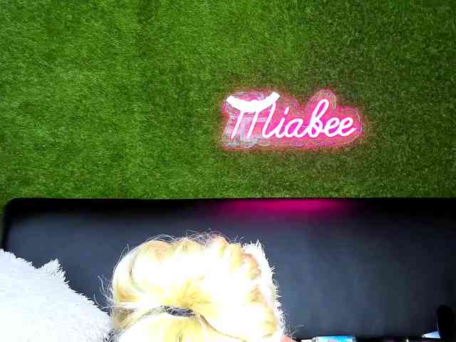 MiaBeeX webcam