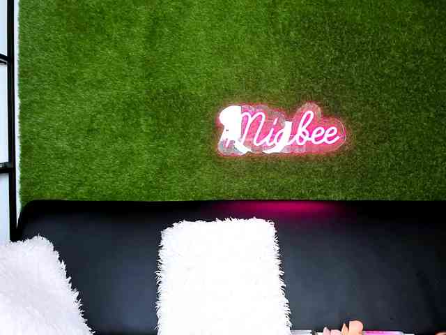 MiaBeeX webcam
