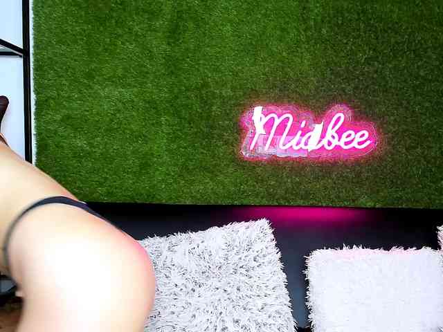 MiaBeeX webcam