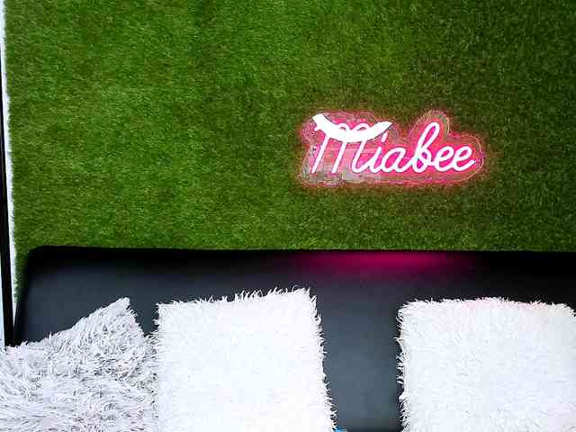 MiaBeeX webcam