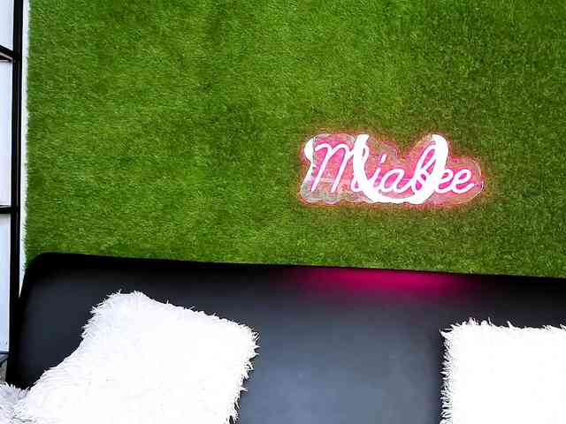 MiaBeeX MiaBeeX