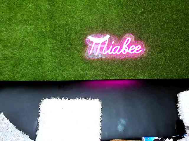 MiaBeeX webcam