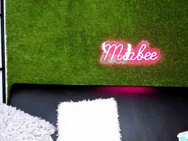 MiaBeeX webcam