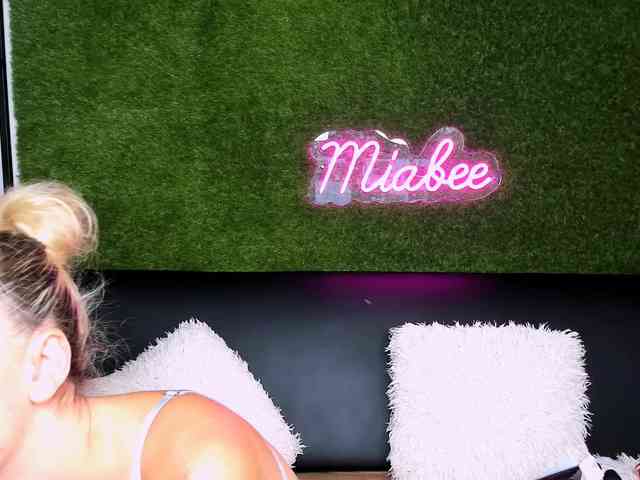 MiaBeeX webcam