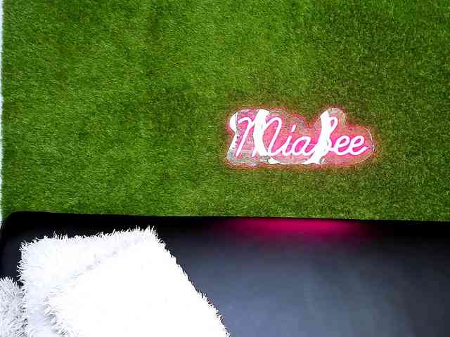 MiaBeeX