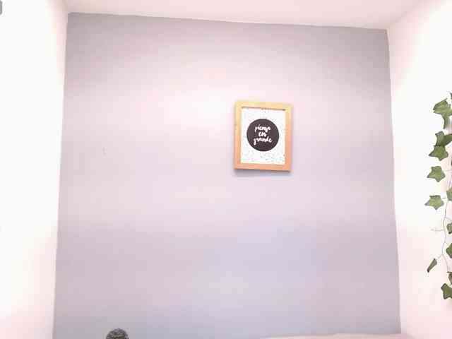 louisk2 webcam