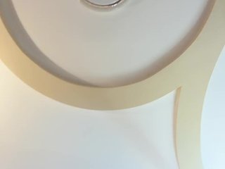 _Lally_