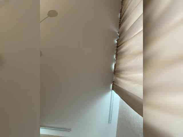 _Lally_ webcam