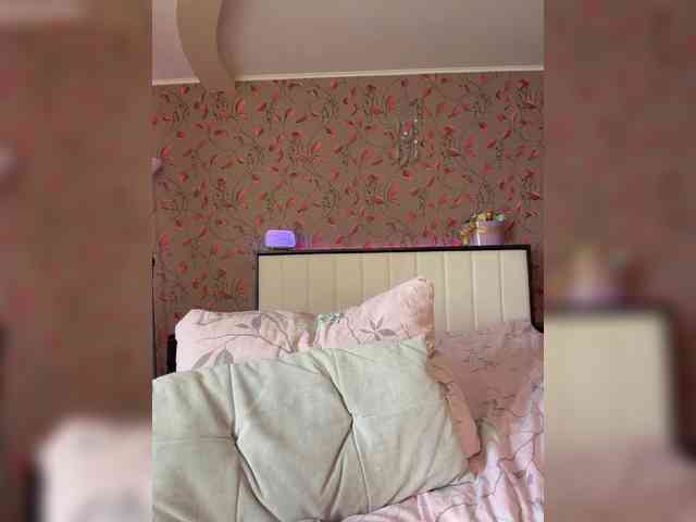 _Lally_ webcam
