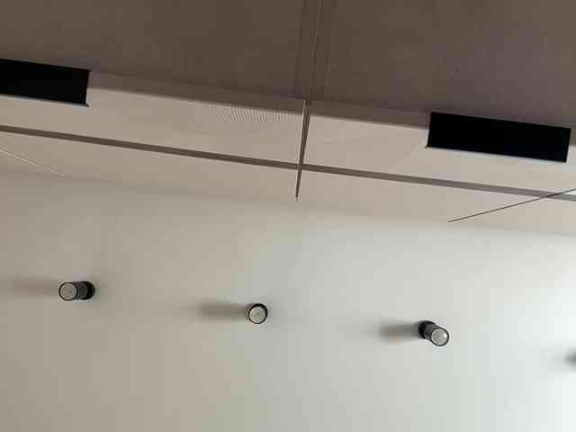 LedyMiya webcam